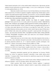 Niūraspalvio auksavabalio (osmoderma eremita) buveinės tyrimai Kauno ąžuolyne 11 puslapis