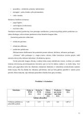 Uždaroji akcinė bendrovė baras „Glamour“ verslo planas 11 puslapis