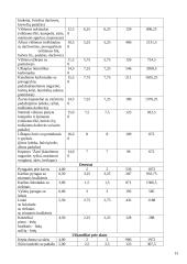 Uždaroji akcinė bendrovė baras „Glamour“ verslo planas 13 puslapis