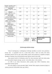 Uždaroji akcinė bendrovė baras „Glamour“ verslo planas 16 puslapis