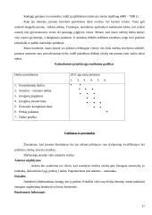 Uždaroji akcinė bendrovė baras „Glamour“ verslo planas 17 puslapis