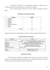 Uždaroji akcinė bendrovė baras „Glamour“ verslo planas 18 puslapis