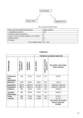 Uždaroji akcinė bendrovė baras „Glamour“ verslo planas 19 puslapis