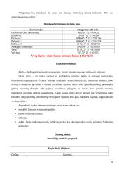 Uždaroji akcinė bendrovė baras „Glamour“ verslo planas 20 puslapis