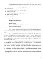 Uždaroji akcinė bendrovė baras „Glamour“ verslo planas 3 puslapis