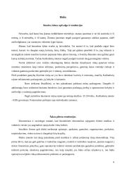 Uždaroji akcinė bendrovė baras „Glamour“ verslo planas 6 puslapis