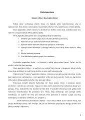 Uždaroji akcinė bendrovė baras „Glamour“ verslo planas 8 puslapis