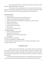 Uždaroji akcinė bendrovė baras „Glamour“ verslo planas 9 puslapis