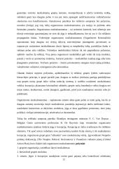 Organizuotas nusikalstamumas ES 12 puslapis