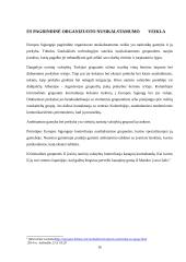 Organizuotas nusikalstamumas ES 16 puslapis