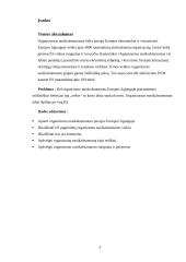 Organizuotas nusikalstamumas ES 3 puslapis