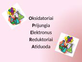 Oksidacijos – redukcijos reakcijos 12 puslapis