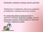 Oksidacijos – redukcijos reakcijos 13 puslapis