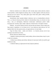 Rinkimai ir jų funkcijos 3 puslapis