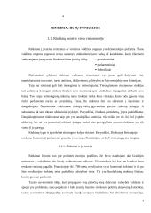 Rinkimai ir jų funkcijos 4 puslapis