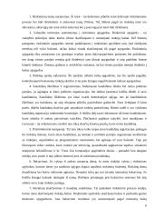 Rinkimai ir jų funkcijos 6 puslapis