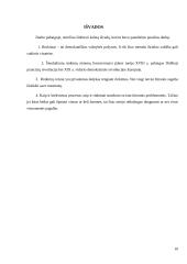 Rinkimai ir jų funkcijos 10 puslapis