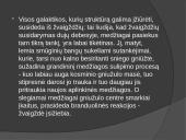 Paukščių takas skaidrės 6 puslapis