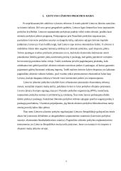 Tarptautine prekyba Lietuvoje referatas 5 puslapis