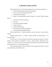 Kelionių organizatoriaus “N" steigimo ir veiklos organizavimo projektas 11 puslapis