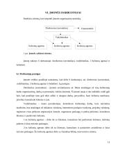 Kelionių organizatoriaus “N" steigimo ir veiklos organizavimo projektas 12 puslapis