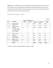 Kelionių organizatoriaus “N" steigimo ir veiklos organizavimo projektas 15 puslapis