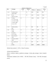 Kelionių organizatoriaus “N" steigimo ir veiklos organizavimo projektas 18 puslapis