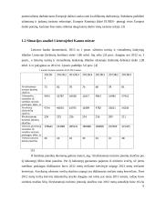 Kelionių organizatoriaus “N" steigimo ir veiklos organizavimo projektas 5 puslapis