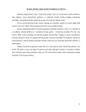 Kelionių organizatoriaus “N" steigimo ir veiklos organizavimo projektas 7 puslapis