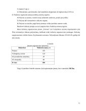 Kelionių organizatoriaus “N" steigimo ir veiklos organizavimo projektas 10 puslapis