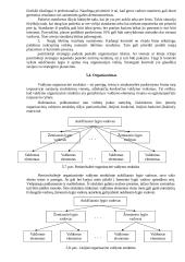 Vadybos funkcijos teorija 11 puslapis