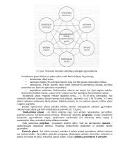 Vadybos funkcijos teorija 4 puslapis