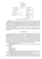 Vadybos funkcijos teorija 5 puslapis