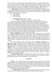 Vadybos funkcijos teorija 6 puslapis