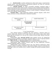 Vadybos funkcijos teorija 7 puslapis