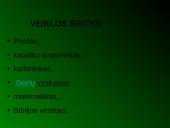 Antanas Baranauskas pristatymas 2 puslapis