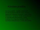 Antanas Baranauskas pristatymas 6 puslapis