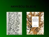 Antanas Baranauskas pristatymas 8 puslapis