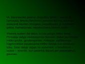 Antanas Baranauskas pristatymas 9 puslapis