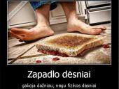 Dinamika. Dėsniai 11 puslapis