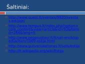Estija skaidrės 17 puslapis
