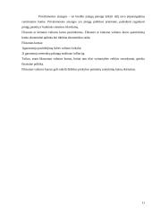 Centrinių bankų poveikis šalių ekonomikoms 11 puslapis