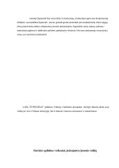 UAB ,,Šypsenėlė” verslo vadybos projektinis darbas 3 puslapis