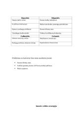 UAB ,,Šypsenėlė” verslo vadybos projektinis darbas 5 puslapis