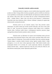 UAB ,,Šypsenėlė” verslo vadybos projektinis darbas 10 puslapis