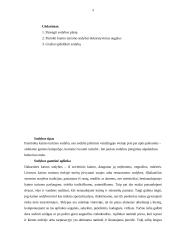 Dekoratyvinio apželdinimo projektinis darbas 3 puslapis