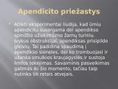 Virškinimo sistemos ligos: apendicitas 3 puslapis