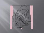 Virškinimo sistemos ligos: apendicitas 5 puslapis