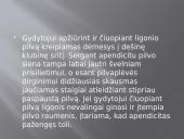 Virškinimo sistemos ligos: apendicitas 8 puslapis