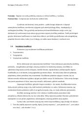 Konflikto samprata 11 puslapis